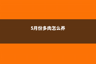 5月不养多肉？后悔去吧 (5月份多肉怎么养)