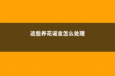 这些养花谣言，可能骗了你多年！别再被忽悠了 (这些养花谣言怎么处理)