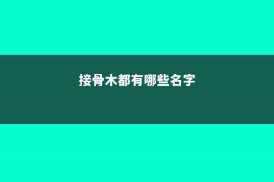 接骨木有哪些品种 (接骨木都有哪些名字)