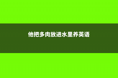 他把多肉放进水里，没想到竟然 (他把多肉放进水里养英语)