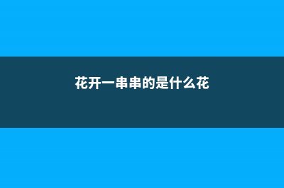 花开成串，这些花可比开爆盆好看多了 (花开一串串的是什么花)