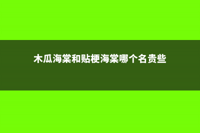 木瓜海棠与贴梗海棠的区别 (木瓜海棠和贴梗海棠哪个名贵些)