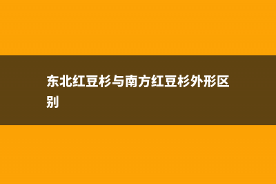 东北红豆杉与南方红豆杉有什么区别 (东北红豆杉与南方红豆杉外形区别)