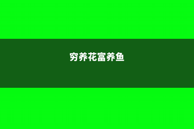 真相！养花穷三代，多肉毁一生 (穷养花富养鱼)