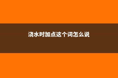 浇水时加点这个，绿萝吊兰长疯了 (浇水时加点这个词怎么说)