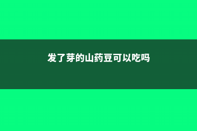 发了芽的山药，放在花盆里竟然爬满了墙，还结山药豆 (发了芽的山药豆可以吃吗)