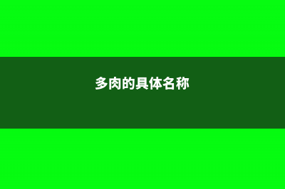 多肉名词大科普，这些你都不知道，还敢说自己喜欢多肉 (多肉的具体名称)