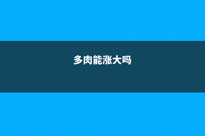 多肉也能长成大树，太霸气了 (多肉能涨大吗)