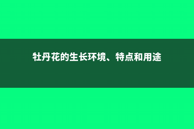 牡丹花的生长特性 (牡丹花的生长环境、特点和用途)