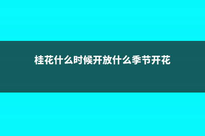 桂花什么时候开花 (桂花什么时候开放什么季节开花)