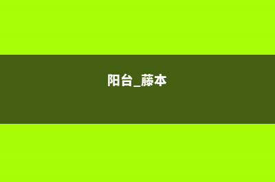 阳台养殖藤本月季应该注意些什么 (阳台 藤本)