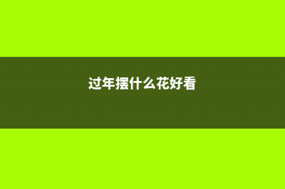 过年花摆对位置，才能旺家旺财保平安 (过年摆什么花好看)