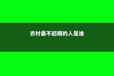 农村最不起眼的花，没人管就能美翻天 (农村最不起眼的人是谁)