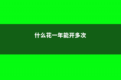 这6种花一年就能长成瀑布，连窗帘都省了 (什么花一年能开多次)