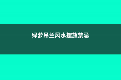 别只养绿萝吊兰，这些花美到天际，你不试试 (绿萝吊兰风水摆放禁忌)