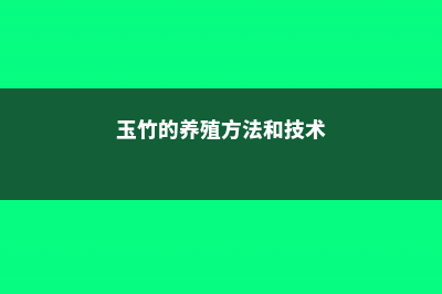 玉竹的养殖方法和注意事项 (玉竹的养殖方法和技术)