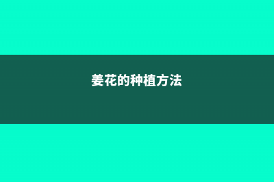 姜花的养殖方法和注意事项 (姜花的种植方法)