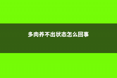 家里的多肉总不上色，怎么办 (多肉养不出状态怎么回事)