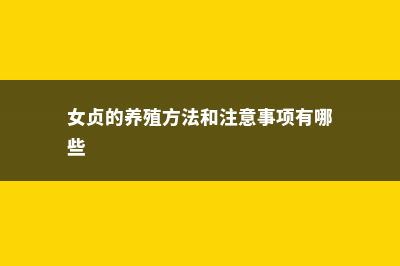 女贞的养殖方法和注意事项 (女贞的养殖方法和注意事项有哪些)