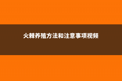 火棘的养殖方法和注意事项 (火棘养殖方法和注意事项视频)