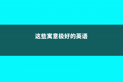 这些寓意极好的大型绿植，家中一定要有一盆 (这些寓意极好的英语)