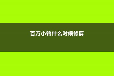 百万小铃什么时候开花 (百万小铃什么时候修剪)