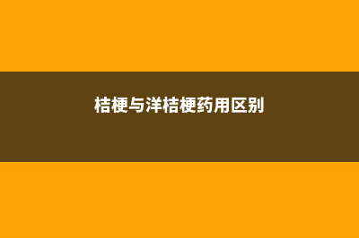 洋桔梗和桔梗的区别 (桔梗与洋桔梗药用区别)