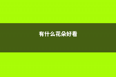 别看这8种花朵小，美丽可一点都不少 (有什么花朵好看)