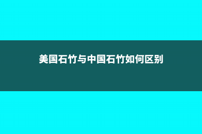 美国石竹与中国石竹如何区别 (美国石竹与中国石竹如何区别)