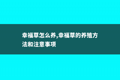 幸福草的养殖方法 (幸福草怎么养,幸福草的养殖方法和注意事项)