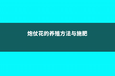 炮仗花的养殖方法和注意事项 (炮仗花的养殖方法与施肥)