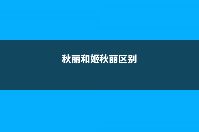 秋丽、姬秋丽、丸叶姬秋丽怎么区分-(秋丽和姬秋丽区别)