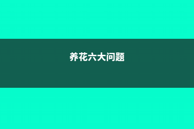 14大养花误区，只有1%的人避开了 (养花六大问题)