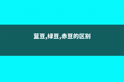 蓝豆,绿豆,赤豆,黑莓怎么区分 (蓝豆,绿豆,赤豆的区别)