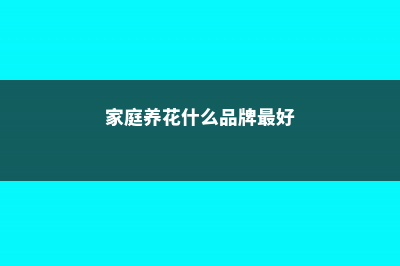 家庭养花什么品种最适合 (家庭养花什么品牌最好)