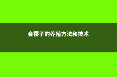 金樱子的养殖方法和注意事项 (金樱子的养殖方法和技术)