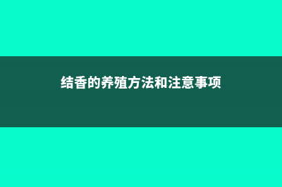 结香的养殖方法和注意事项 (结香的养殖方法和注意事项)