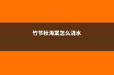 竹节秋海棠的养殖方法和注意事项 (竹节秋海棠怎么浇水)