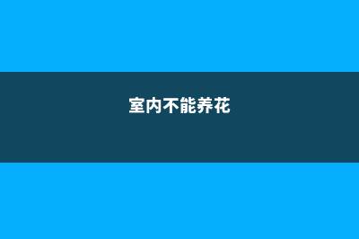 室内养不好花，怪你没做到这5条 (室内不能养花)