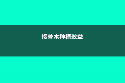 接骨木的养殖方法和注意事项 (接骨木种植效益)