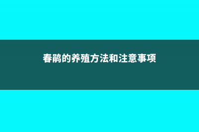 春鹃的养殖方法和注意事项 (春鹃的养殖方法和注意事项)