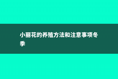 小丽花的养殖方法和注意事项 (小丽花的养殖方法和注意事项冬季)