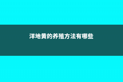 洋地黄的养殖方法和注意事项 (洋地黄的养殖方法有哪些)