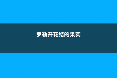 罗勒开花吗 (罗勒开花结的果实)