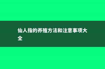 仙人指的养殖方法 (仙人指的养殖方法和注意事项大全)