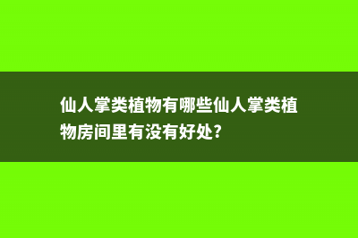 仙人掌类植物有哪些 (仙人掌类植物有哪些仙人掌类植物房间里有没有好处?)