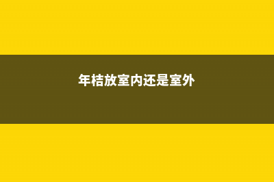 年桔的摆放与风水 (年桔放室内还是室外)