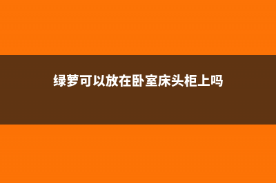 绿萝可以放在卧室吗 (绿萝可以放在卧室床头柜上吗)