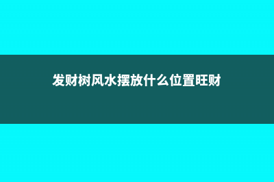 发财树的风水摆放 (发财树风水摆放什么位置旺财)