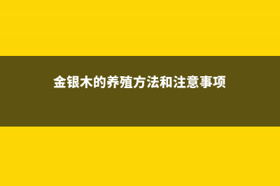 金银木的养殖方法 – (金银木的养殖方法和注意事项)